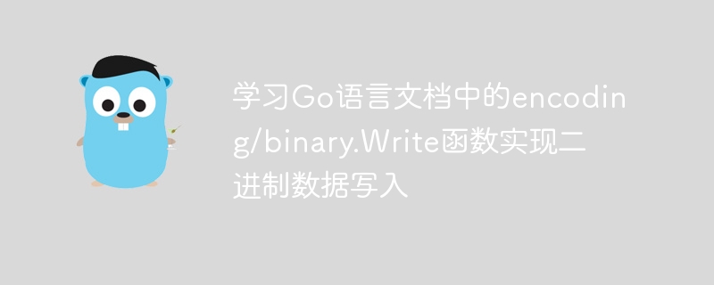 学习Go语言文档中的encoding/binary.Write函数实现二进制数据写入