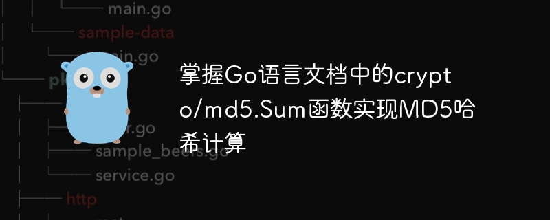 掌握Go語言文檔中的crypto/md5.Sum函數實現MD5哈希計算