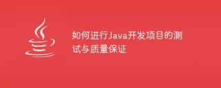 如何进行java开发项目的测试与质量保证