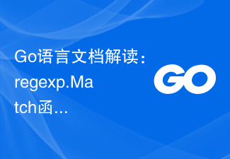 Go语言文档解读：regexp.Match函数详解