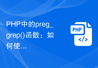 preg_grep()-Funktion in PHP: So filtern Sie Elemente in einem Array mithilfe regulärer Ausdrücke