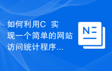 如何利用C++实现一个简单的网站访问统计程序?