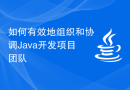 如何有效地组织和协调Java开发项目团队