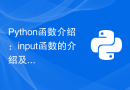 Python函数介绍：input函数的介绍及示例