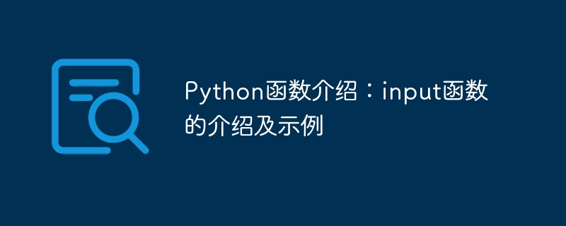 Einführung in Python-Funktionen: Einführung und Beispiele für Eingabefunktionen