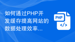 How to improve the data processing efficiency of the website through PHP cache development