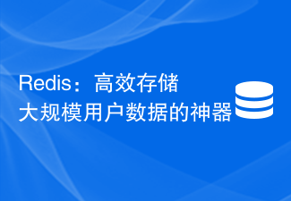 Redis：高效存储大规模用户数据的神器