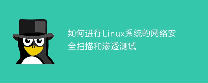 如何进行Linux系统的网络安全扫描和渗透测试