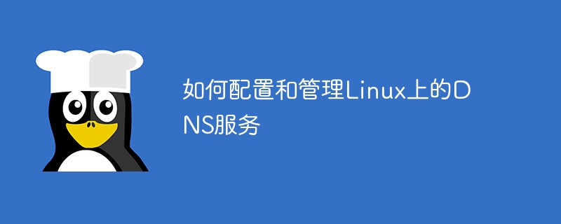 Linux で DNS サービスを構成および管理する方法