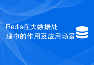 빅데이터 처리에서 Redis의 역할과 적용 시나리오