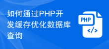 PHP 開発キャッシュを使用してデータベース クエリを最適化する方法