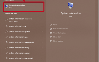 How to get the GPU in Windows 11 and check the graphics card details