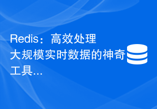 Redis：高效處理大規模即時數據的神奇工具