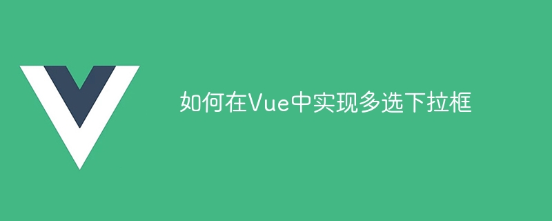 Vue에서 다중 선택 드롭다운 상자를 구현하는 방법