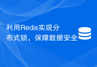 利用Redis实现分布式锁，保障数据安全