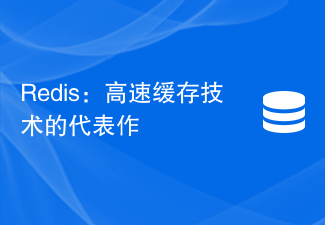 Redis：高速缓存技术的代表作