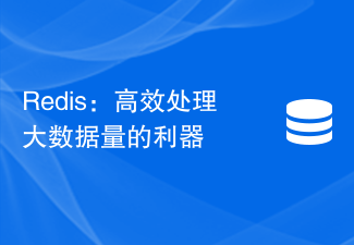 Redis：高效处理大数据量的利器