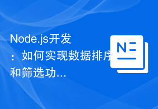 Développement Node.js : Comment implémenter des fonctions de tri et de filtrage des données