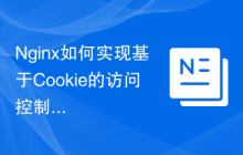 Nginx如何实现基于Cookie的访问控制配置