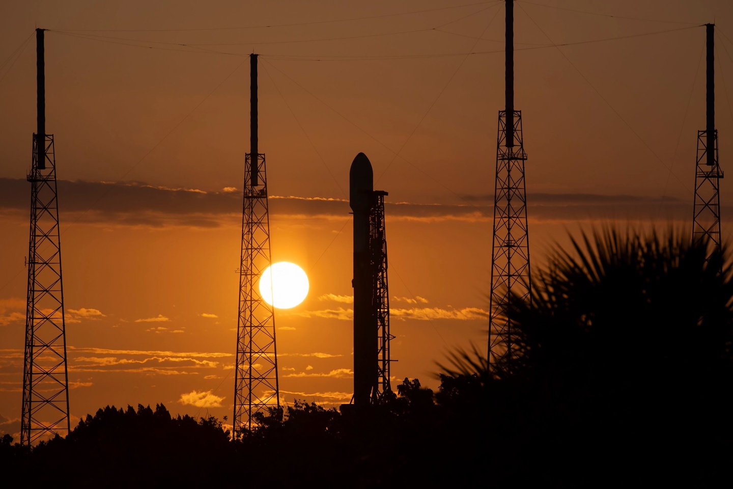 SpaceX 员工指责马斯克为登陆火星不顾风险，导致受伤率远高于行业平均水平