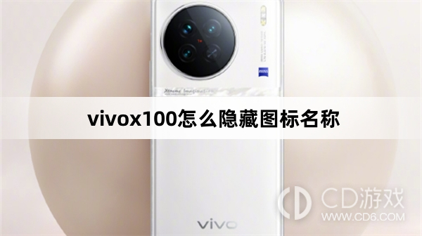 How to hide the icon name in vivox100? How to hide the icon name in vivox100