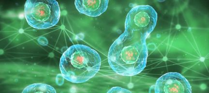 The research team of the Chinese Academy of Sciences released two important papers: the release of the first large-scale model of the basis of life across species, and the release of a new AI model for cell fate prediction