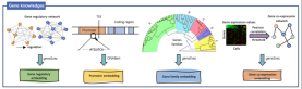 The research team of the Chinese Academy of Sciences released two important papers: the release of the first large-scale model of the basis of life across species, and the release of a new AI model for cell fate prediction