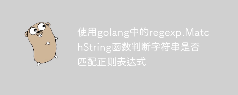 golang에서 regexp.MatchString 함수를 사용하여 문자열이 정규식과 일치하는지 확인합니다.