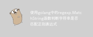 使用golang中的regexp.matchstring函数判断字符串是否匹配正则表达式