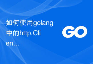 HTTP 요청의 고급 작업을 위해 golang에서 http.Client를 사용하는 방법