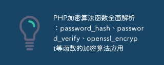 php加密算法函数全面解析:password_hash、password_verify、openssl_encrypt等函数的加密算法应用