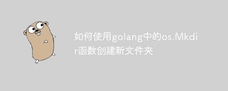 golang에서 os.Mkdir 함수를 사용하여 새 폴더를 만드는 방법