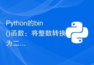 Python의 bin() 함수: 정수를 이진수로 변환