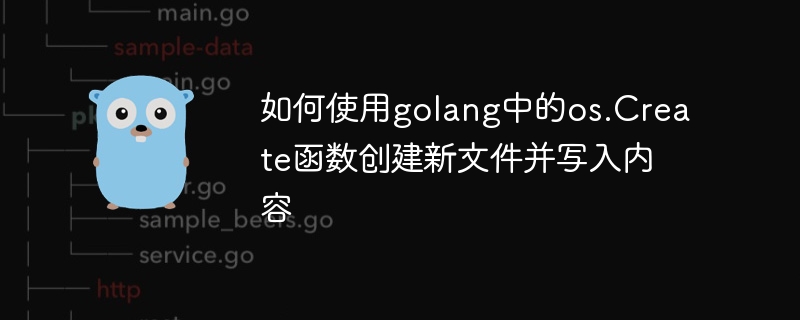 golang에서 os.Create 함수를 사용하여 새 파일을 만들고 내용을 작성하는 방법