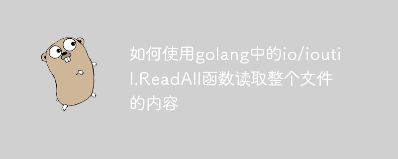 Comment lire le contenu de lintégralité du fichier à laide de la fonction io/ioutil.ReadAll dans Golang