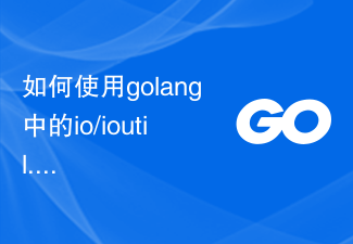 如何使用golang中的io/ioutil.ReadAll函數讀取整個檔案的內容