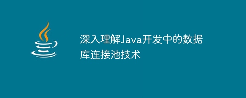 Java 개발 시 데이터베이스 연결 풀 기술에 대한 심층적인 이해