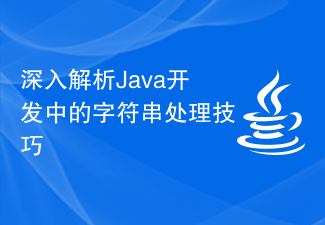 Java 개발의 문자열 처리 기술에 대한 심층 분석