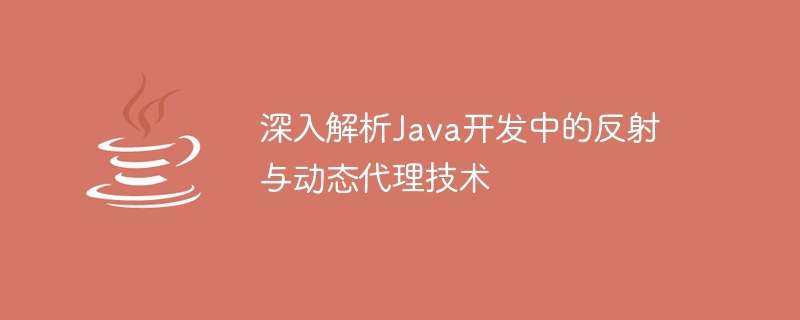 Java 개발의 리플렉션 및 동적 프록시 기술에 대한 심층 분석