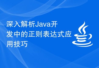 Analisis mendalam kemahiran aplikasi ungkapan biasa dalam pembangunan Java