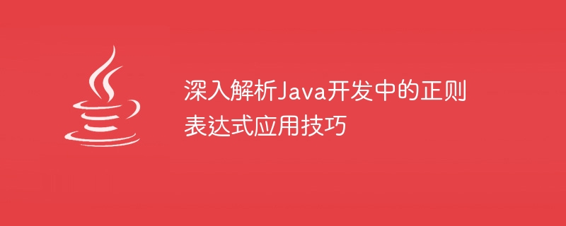 Java 개발의 정규식 적용 기술에 대한 심층 분석