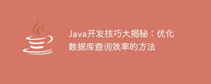 Java 開発スキルが明らかに: データベース クエリの効率を最適化する方法