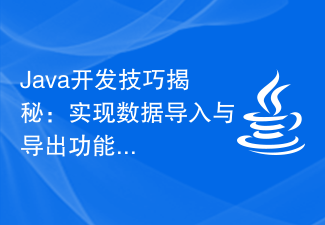 Java開發技巧揭秘：實作資料匯入與匯出功能