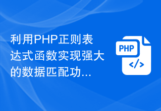 Use PHP regular expression functions to achieve powerful data matching functions