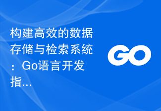 构建高效的数据存储与检索系统：Go语言开发指南