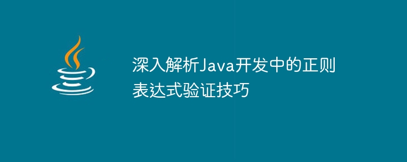 深入解析Java开发中的正则表达式验证技巧