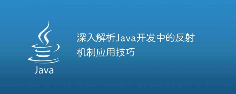 Eingehende Analyse der Fähigkeiten zur Anwendung von Reflexionsmechanismen in der Java-Entwicklung