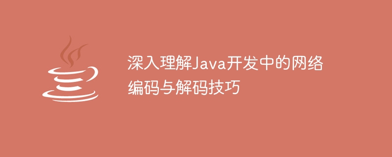 深入理解Java开发中的网络编码与解码技巧