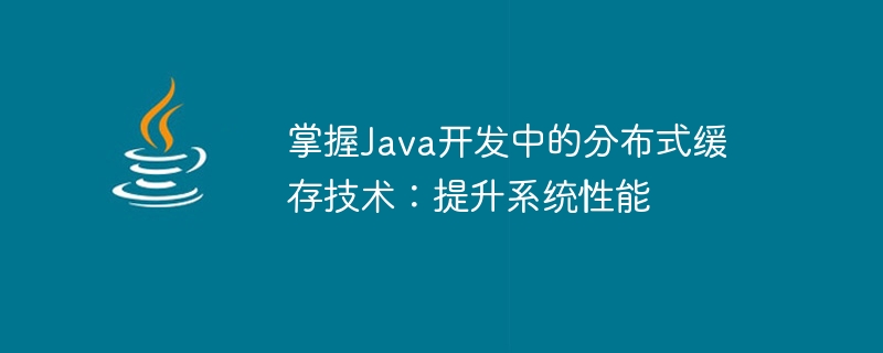 Java 개발의 분산 캐싱 기술 마스터: 시스템 성능 향상