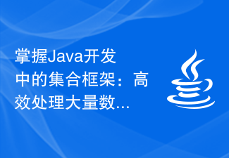 Beherrschen Sie das Sammlungsframework in der Java-Entwicklung: Verarbeiten Sie große Datenmengen effizient